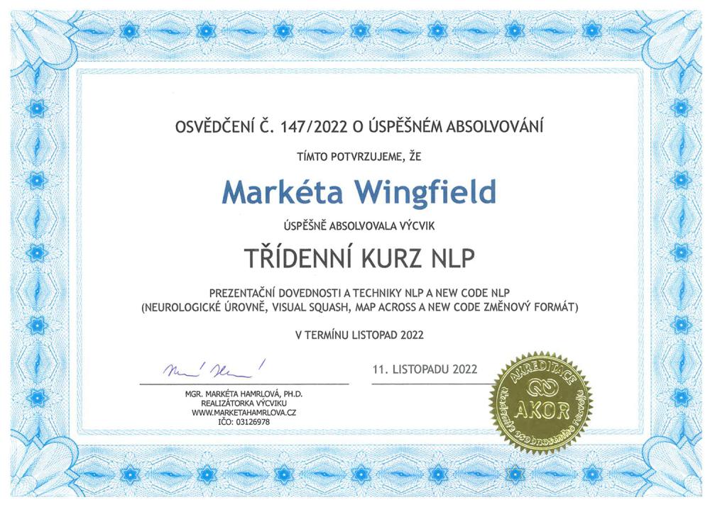 Kurz NLP