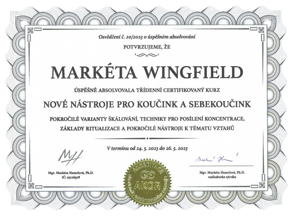 Nové nástroje pro koučing a sebekoučing